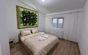 Casa Privata Airport Bucharest Therme Bucharest