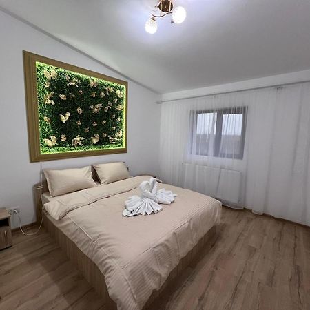 Casa Privata Airport Bucharest Therme Bucharest Балотещи Екстериор снимка