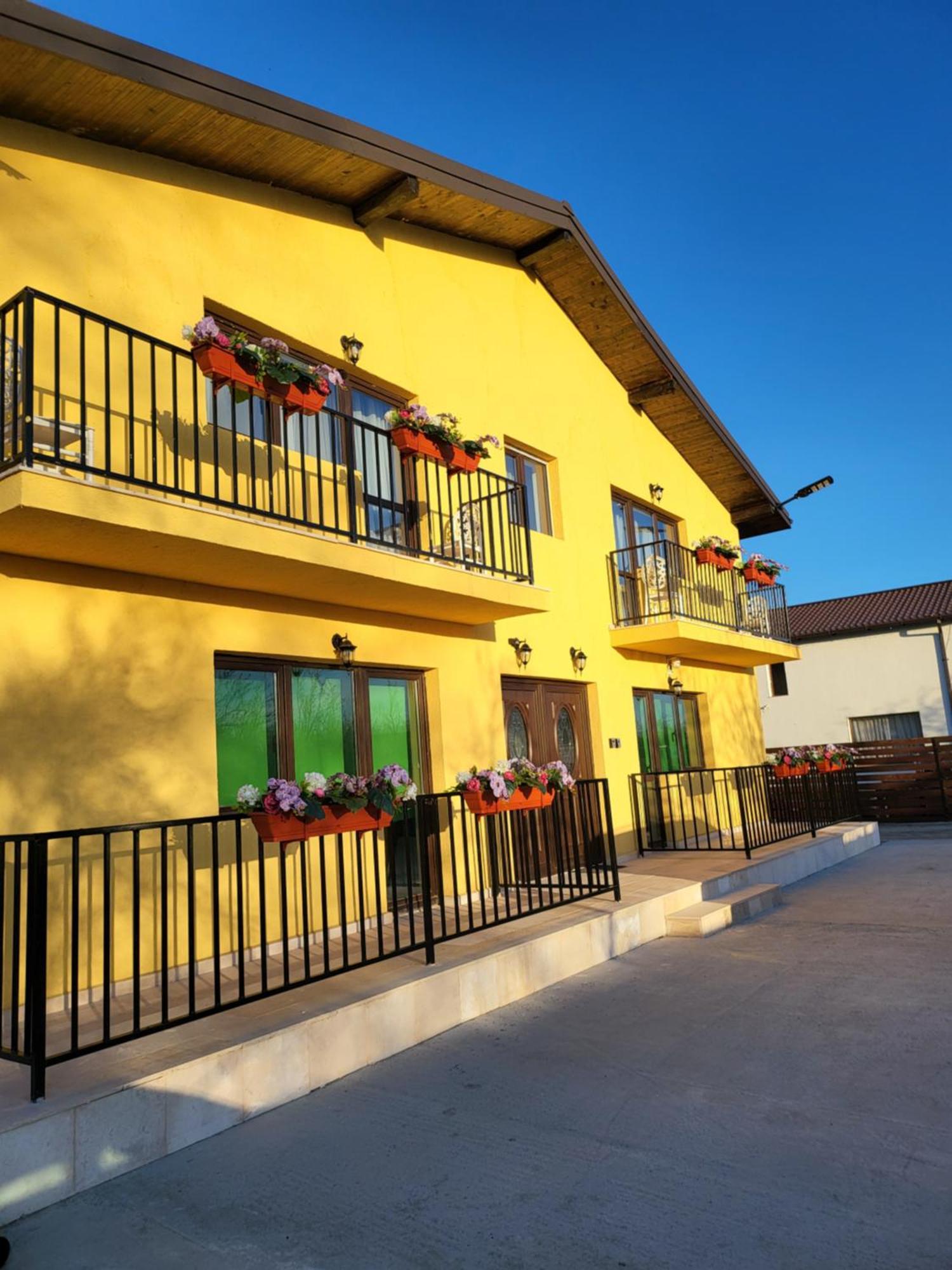 Casa Privata Airport Bucharest Therme Bucharest Балотещи Стая снимка